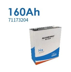 Allgrand Group Attends Forum