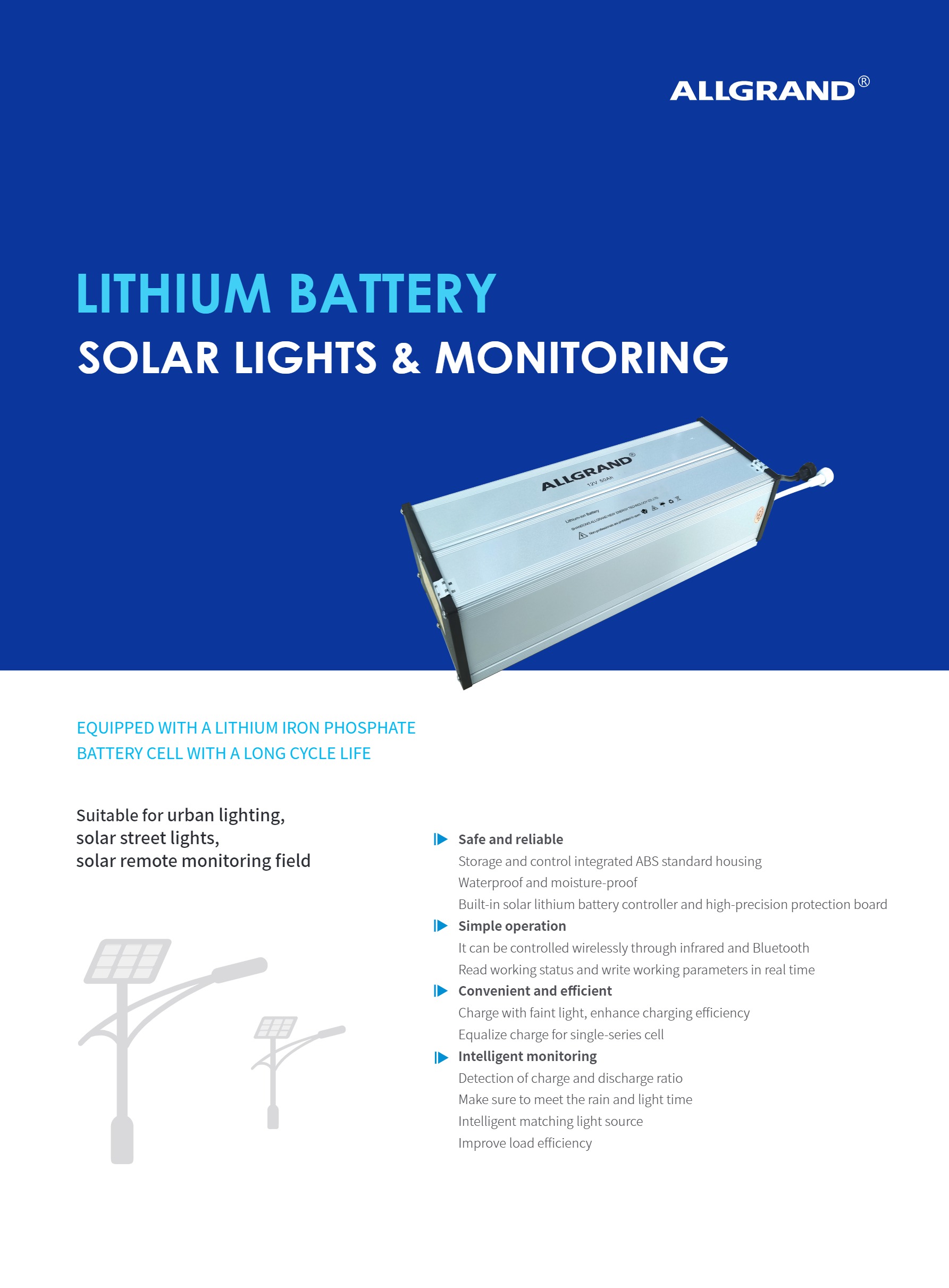 SOLAR LIGHTS & MONITORING Lithium battery-1.jpg